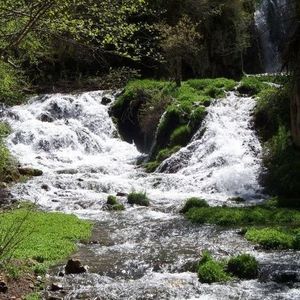 Meet your Posher, Bethany